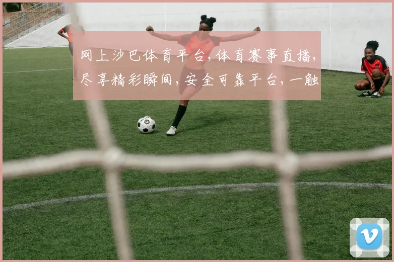 网上沙巴体育平台,体育赛事直播,尽享精彩瞬间,安全可靠平台,一触即达