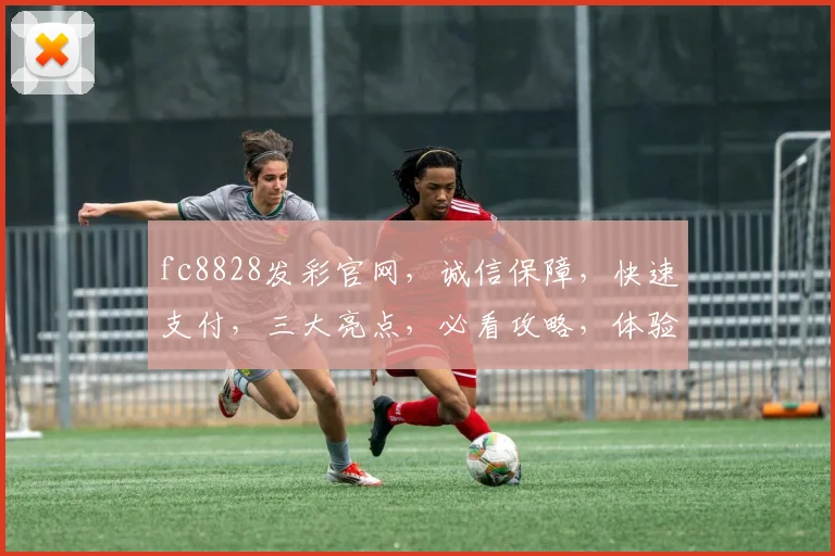 fc8828发彩官网，诚信保障，快速支付，三大亮点，必看攻略，体验非凡