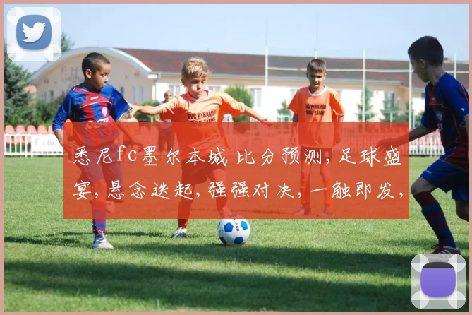 悉尼fc墨尔本城 比分预测,足球盛宴,悬念迭起,强强对决,一触即发,谁将问鼎