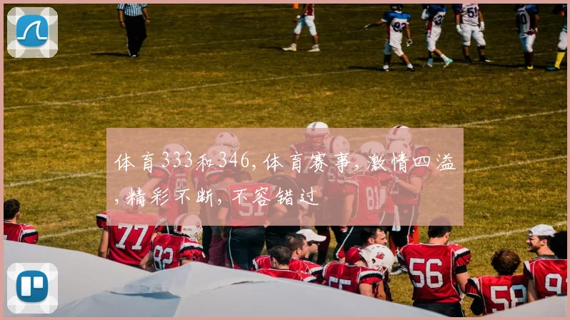 体育333和346,体育赛事,激情四溢,精彩不断,不容错过